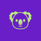 ModernPinkRabbit64651