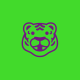 FancyGreenSquirrel69340